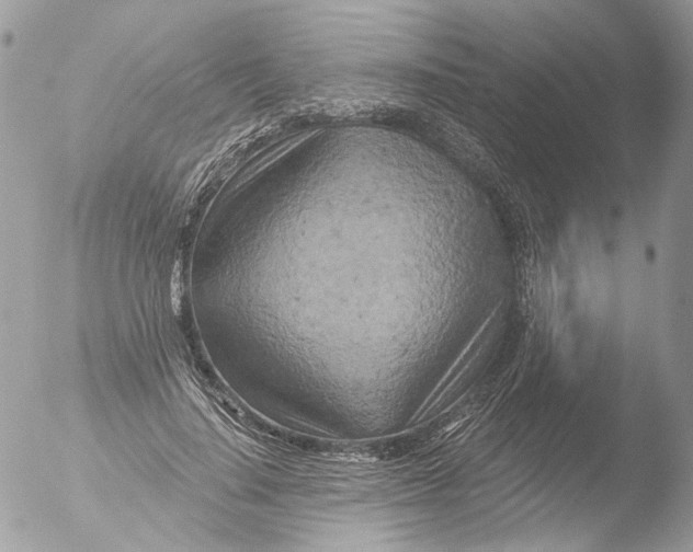 X0000051860644200507151821