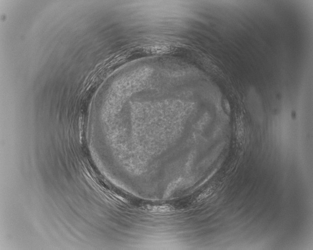 X0000051860645200507151821