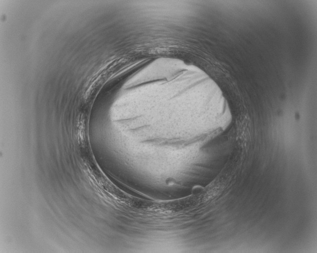 X0000051860648200507151821