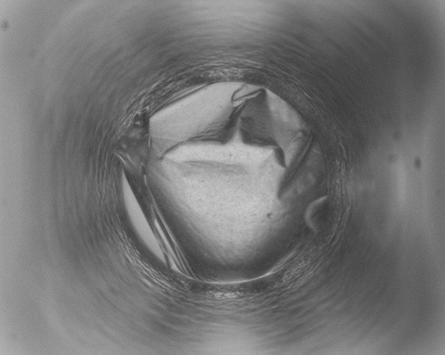 X0000051860649200507151821