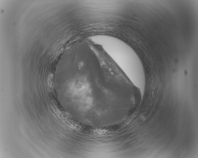 X0000051860650200507151821