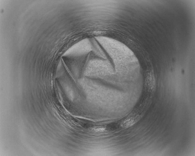 X0000051860651200507151821