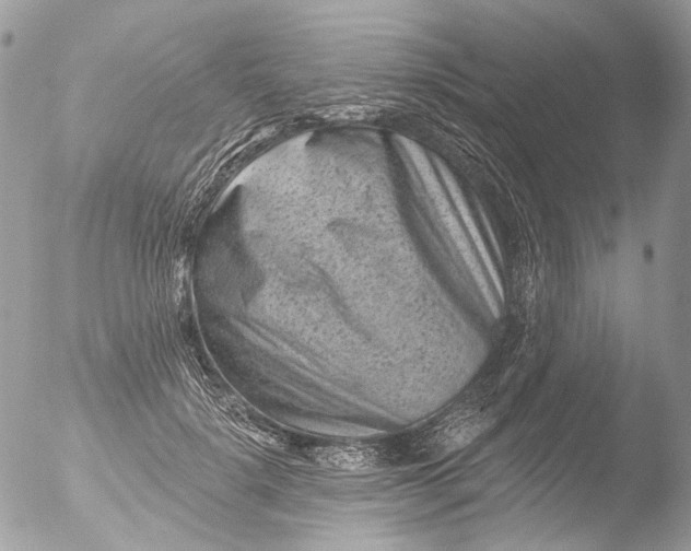 X0000051860652200507151821