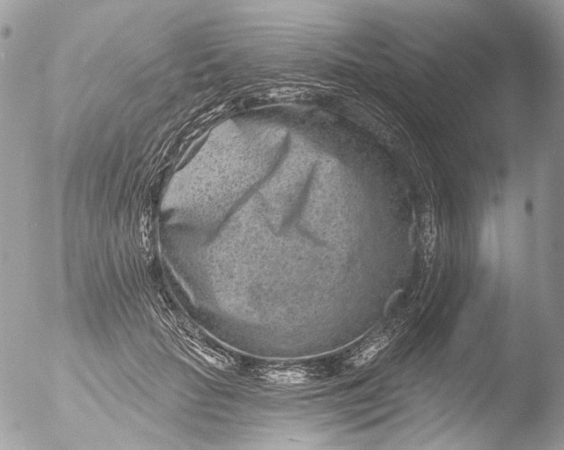 X0000051860653200507151821