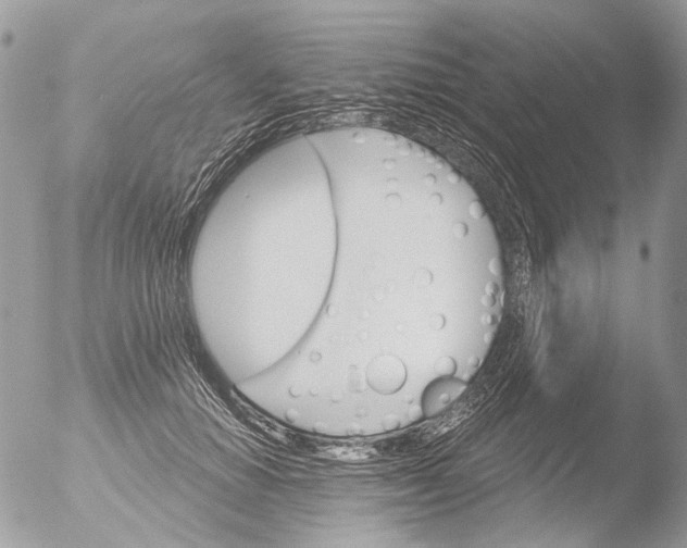 X0000051860654200507151821