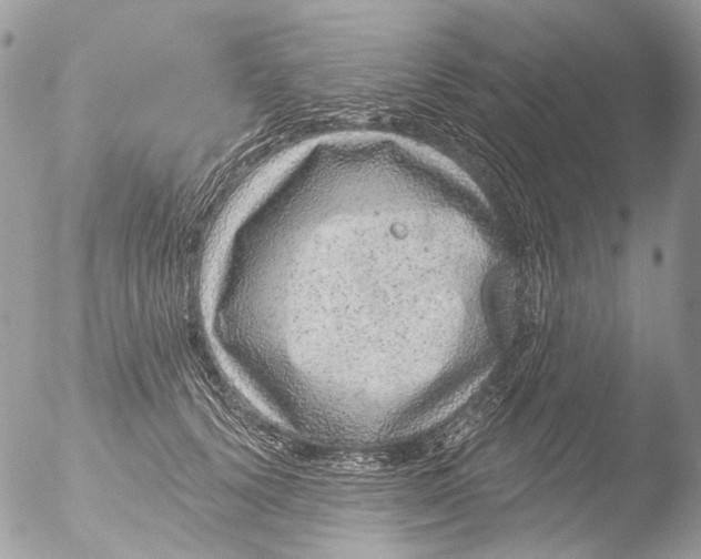 X0000051860656200507151821