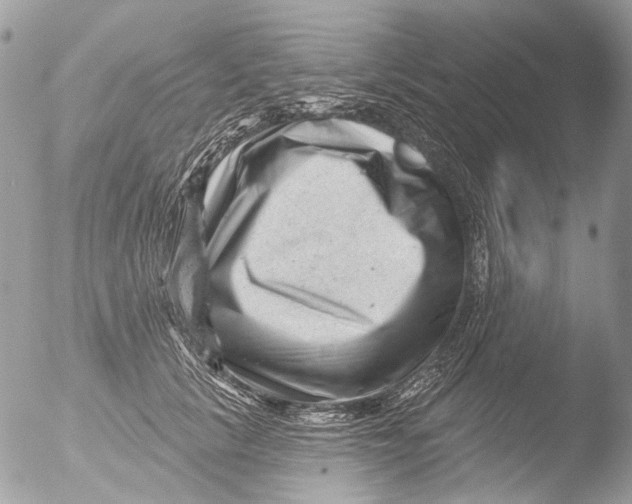 X0000051860657200507151821