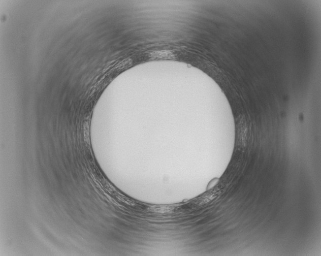 X0000051860658200507151821