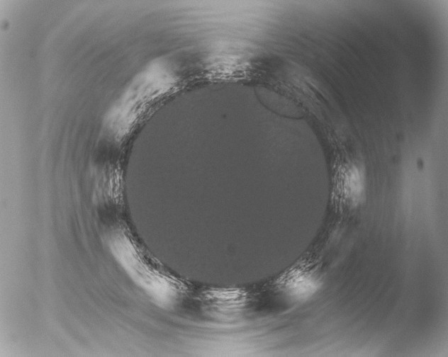 X0000051860659200507151822