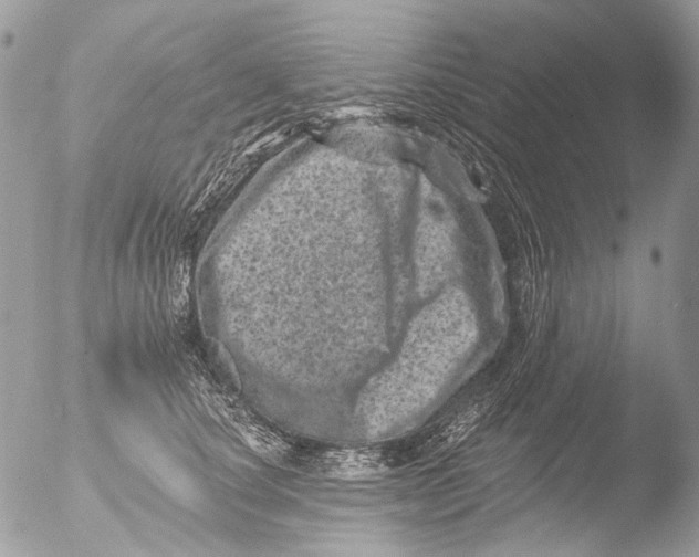 X0000051860660200507151822