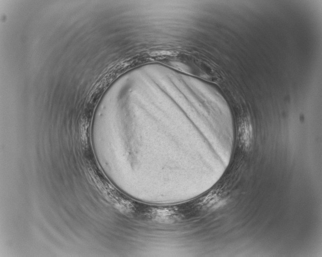 X0000051860662200507151822