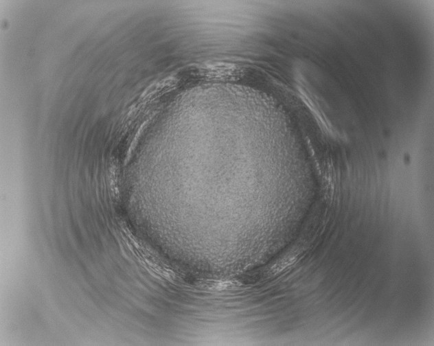 X0000051860663200507151822