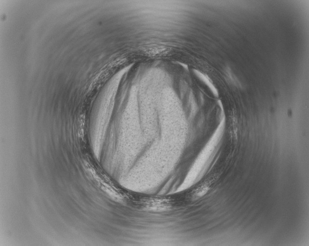 X0000051860664200507151822