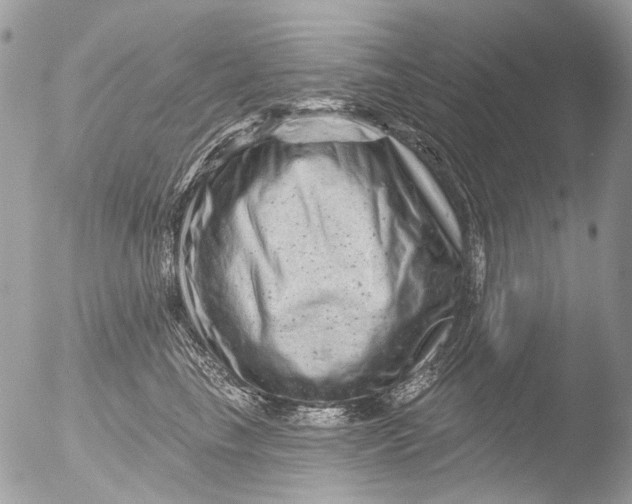 X0000051860665200507151822