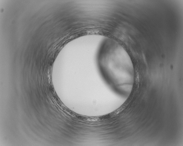 X0000051860666200507151822