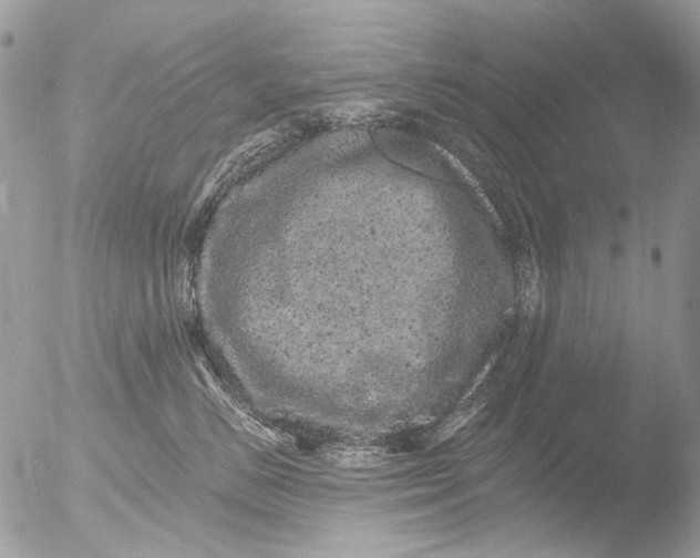 X0000051860670200507151822