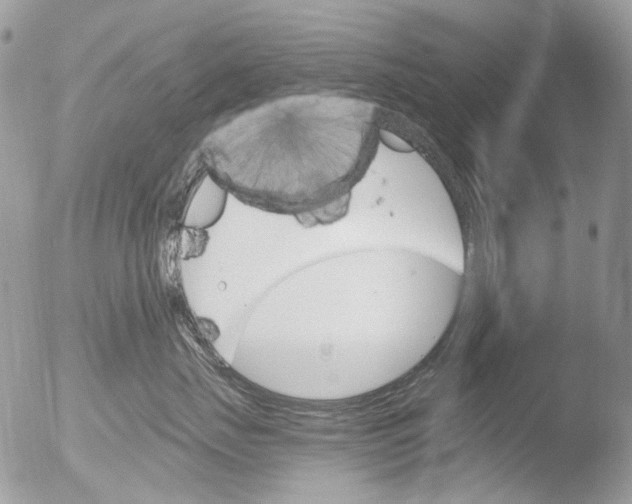 X0000051860671200507151822