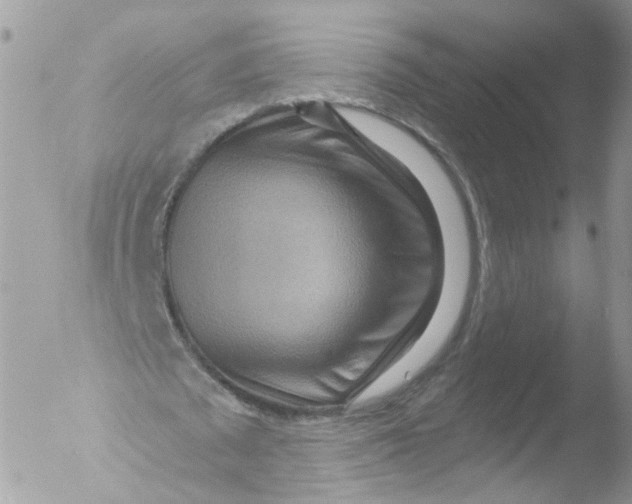 X0000051860673200507151821