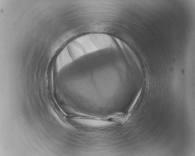 X0000051860674200507151821