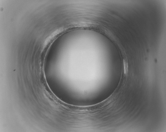 X0000051860675200507151821