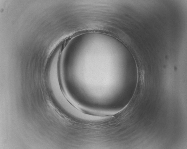 X0000051860676200507151821