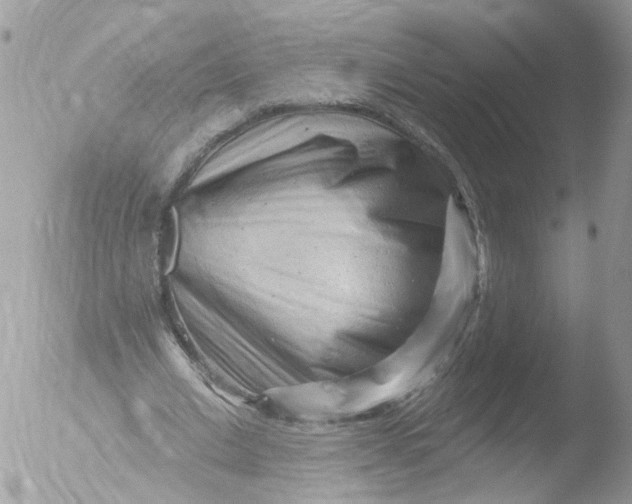 X0000051860677200507151821