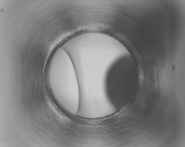 X0000051860678200507151821