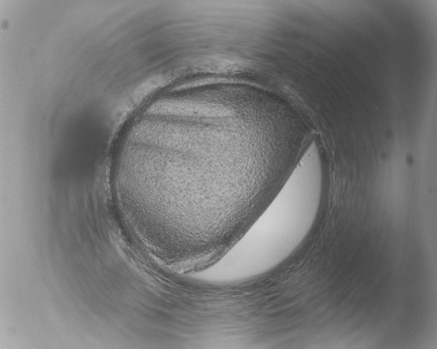 X0000051860679200507151821