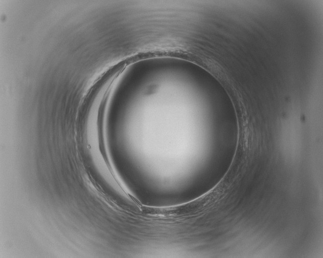 X0000051860680200507151821