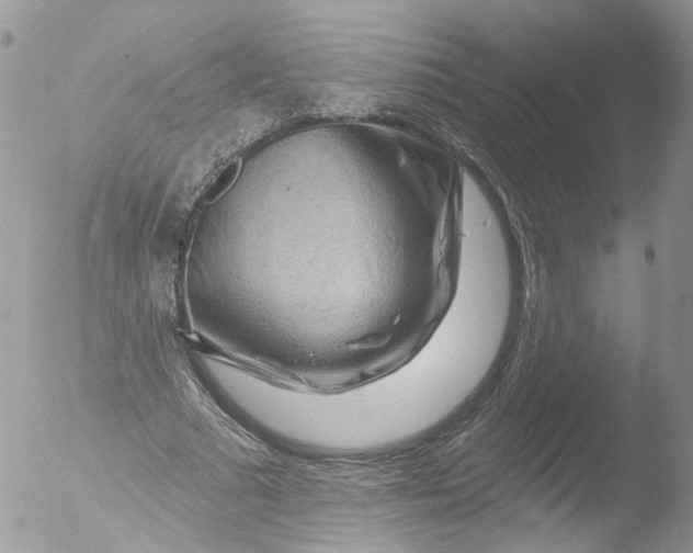 X0000051860681200507151821