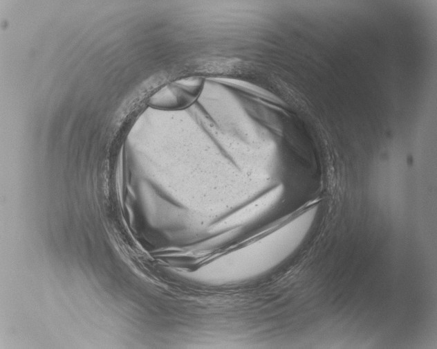 X0000051860682200507151821