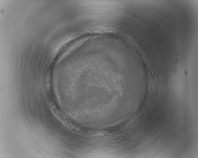 X0000051860683200507151821