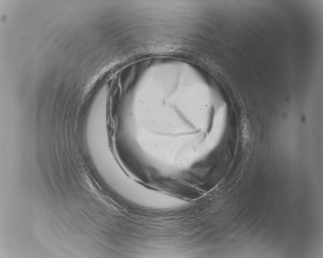 X0000051860684200507151821