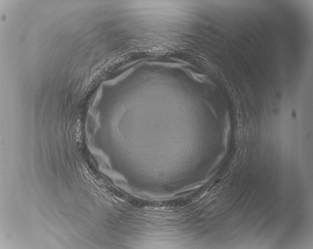 X0000051860689200507151821