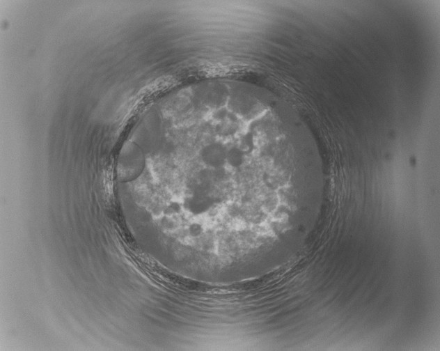 X0000051860691200507151821