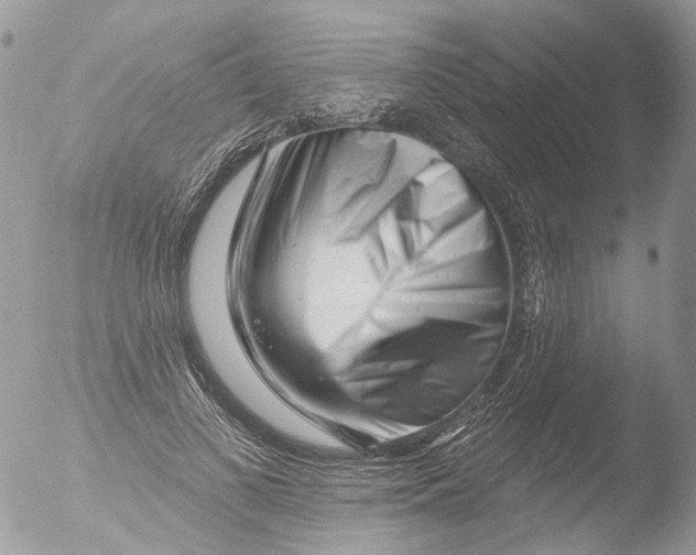 X0000051860693200507151821