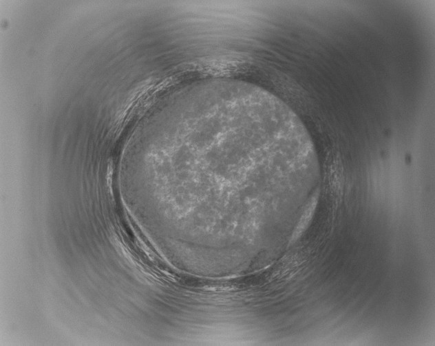 X0000051860694200507151821