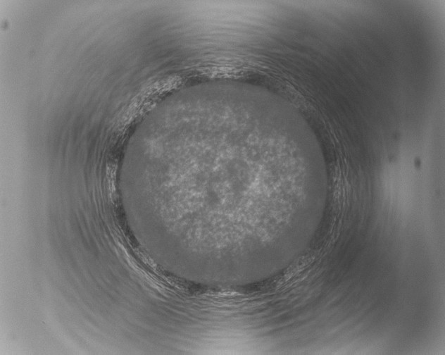 X0000051860695200507151821