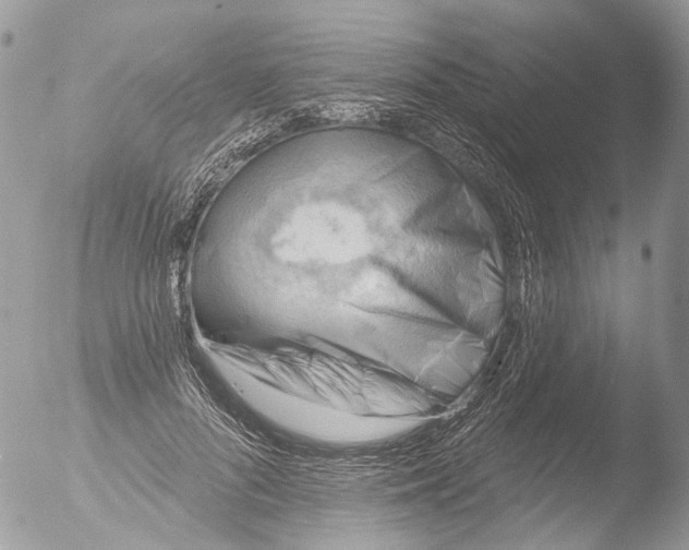 X0000051860696200507151821