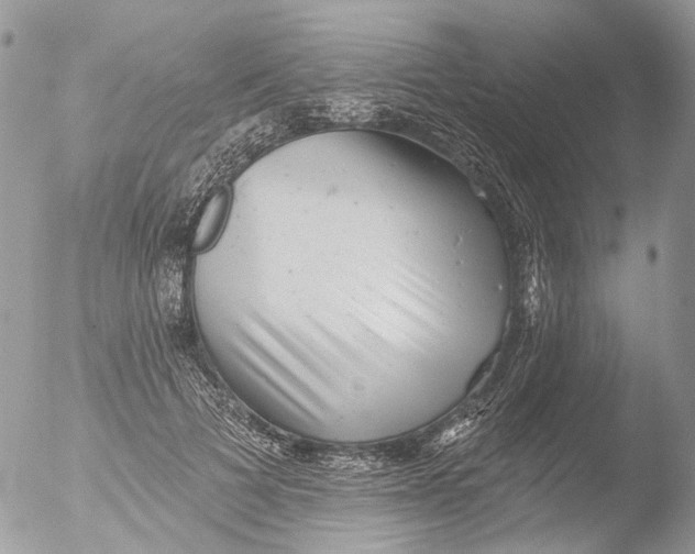 X0000051860697200507151821