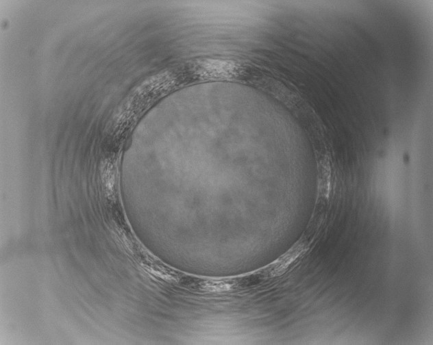 X0000051860701200507151820