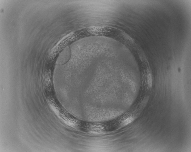 X0000051860702200507151820