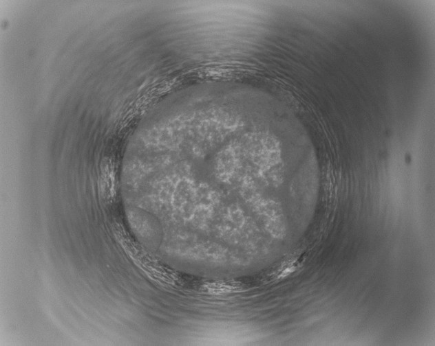 X0000051860703200507151820