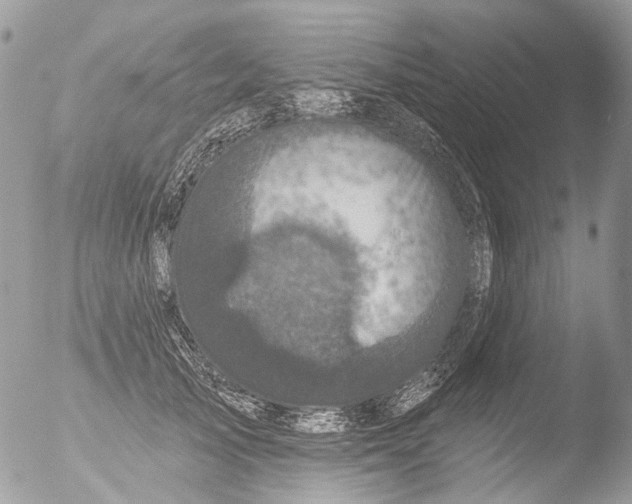 X0000051860705200507151820