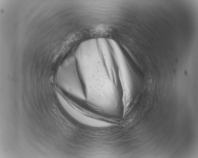 X0000051860708200507151820