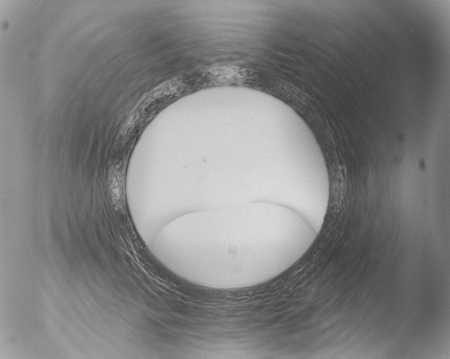 X0000051860710200507151820