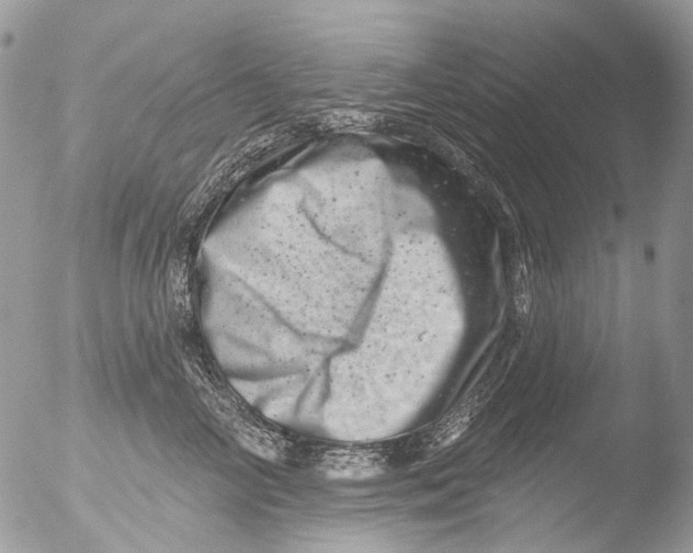 X0000051860714200507151820