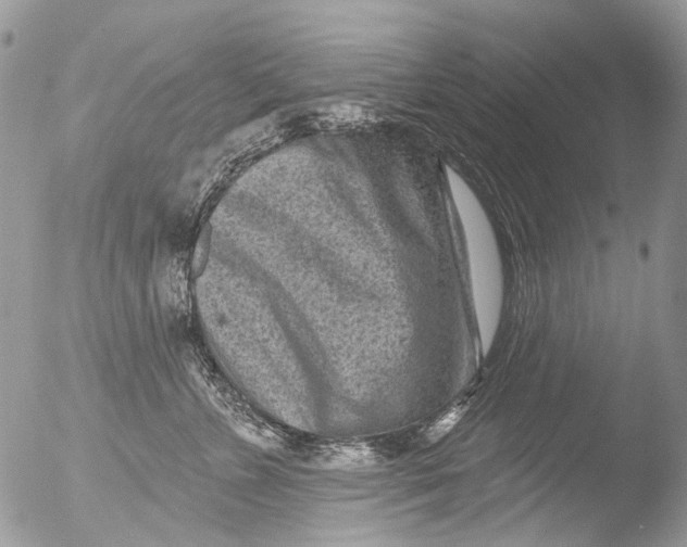 X0000051860715200507151820