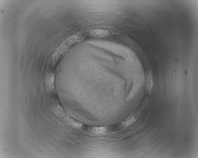 X0000051860717200507151820