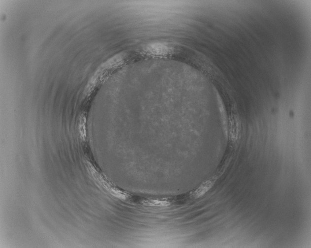 X0000051860718200507151820